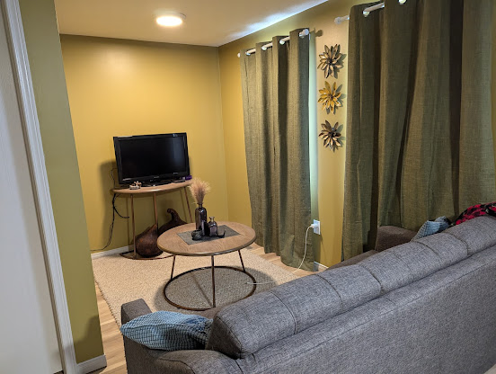 Finished basement living room